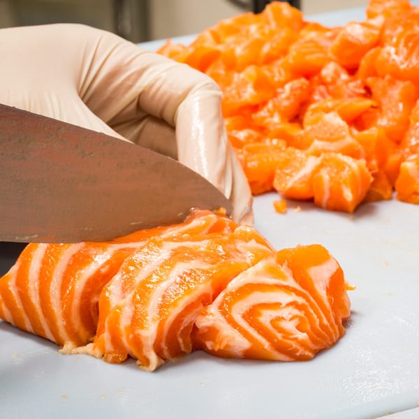 Gloved hand slicing fresh salmon on a white cutting board, with diced salmon in the background.